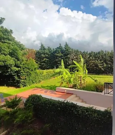 Vilă The Coral Tree Luxury *